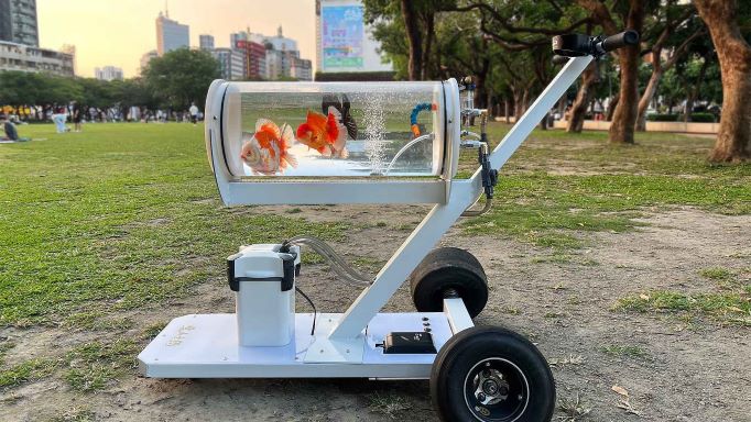 Fish-Tank-Stroller-by-Jerry-Huang.jpg