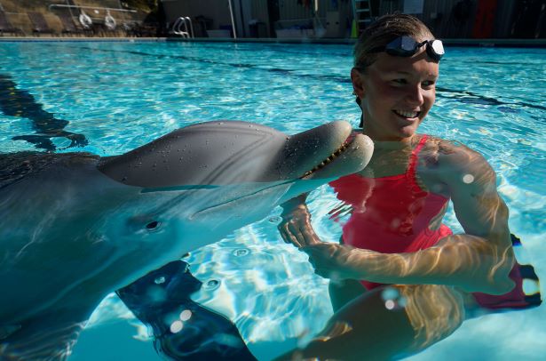 girl-with-animatronic-dophin-spirt.jpg