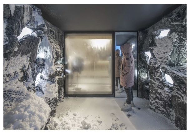 Canada_Goose_Snow_Room.jpg