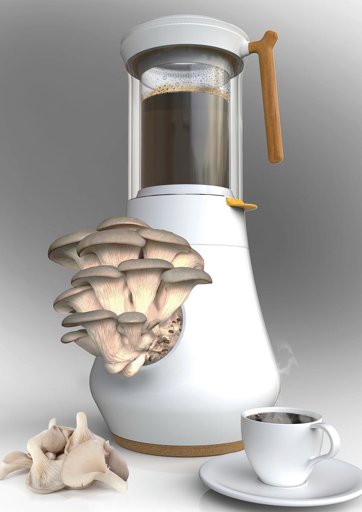 Hifa 3.jpg