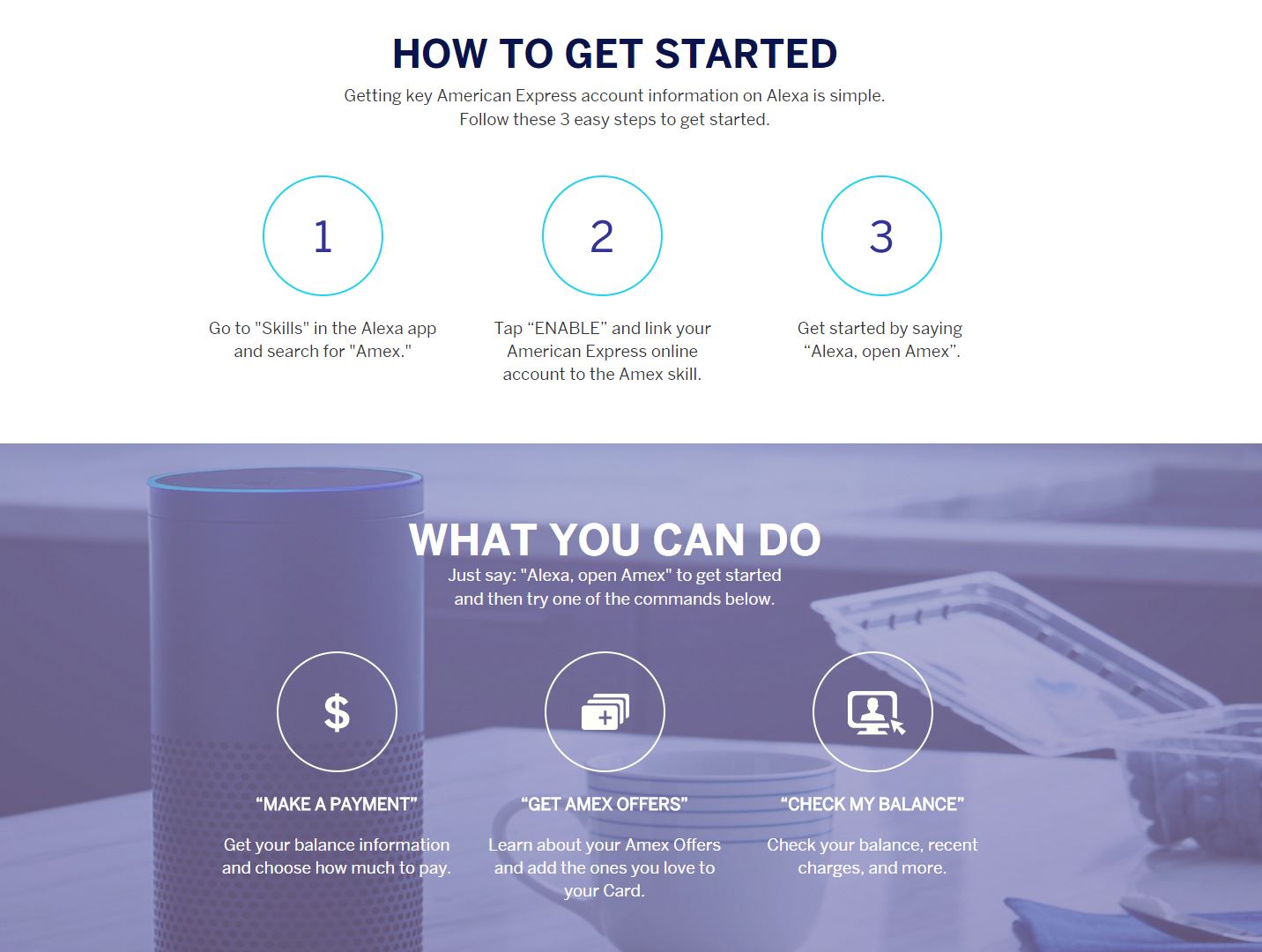 AMEX Skill for Amazon Alexa.JPG