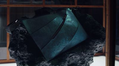 1trexbag4.jpg