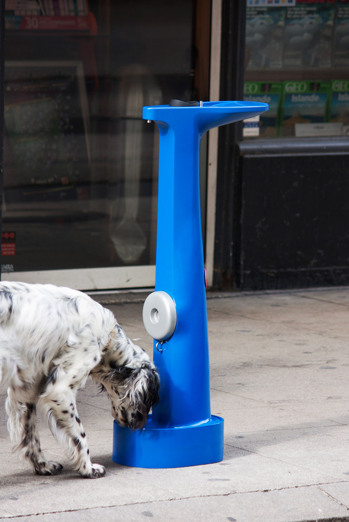 Drinking Hydrant_2.jpg