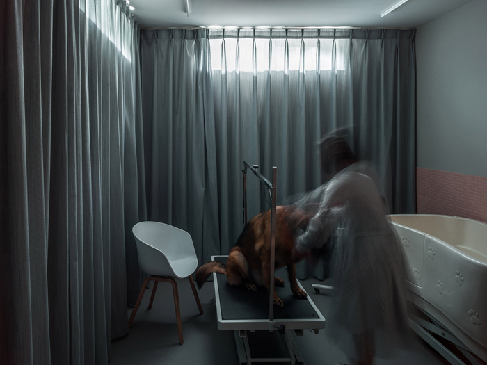The Dog House2.jpg