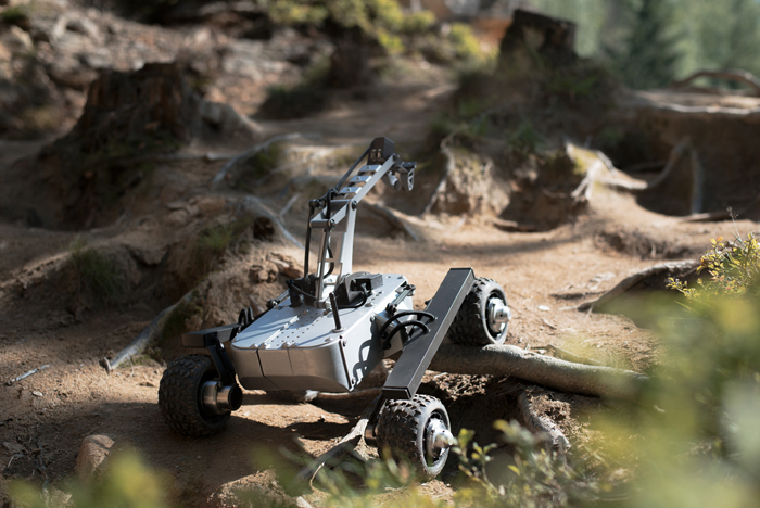 rover-on-a-branch.jpg