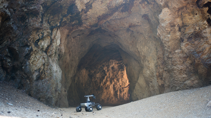 rover-in-a-cage.jpg