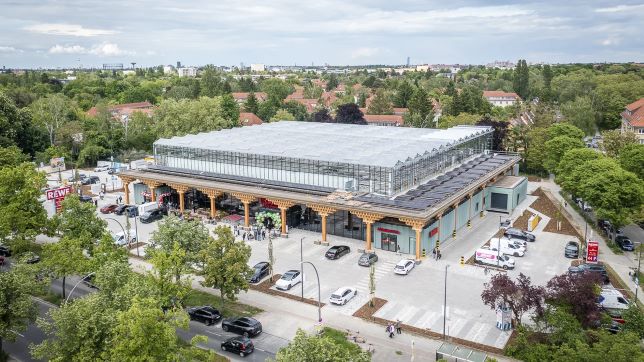 1REWE_Green_Farming_1_-_media--df42eb16--query@2x.edce54c2.jpg