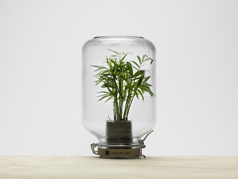 jar_3.jpg