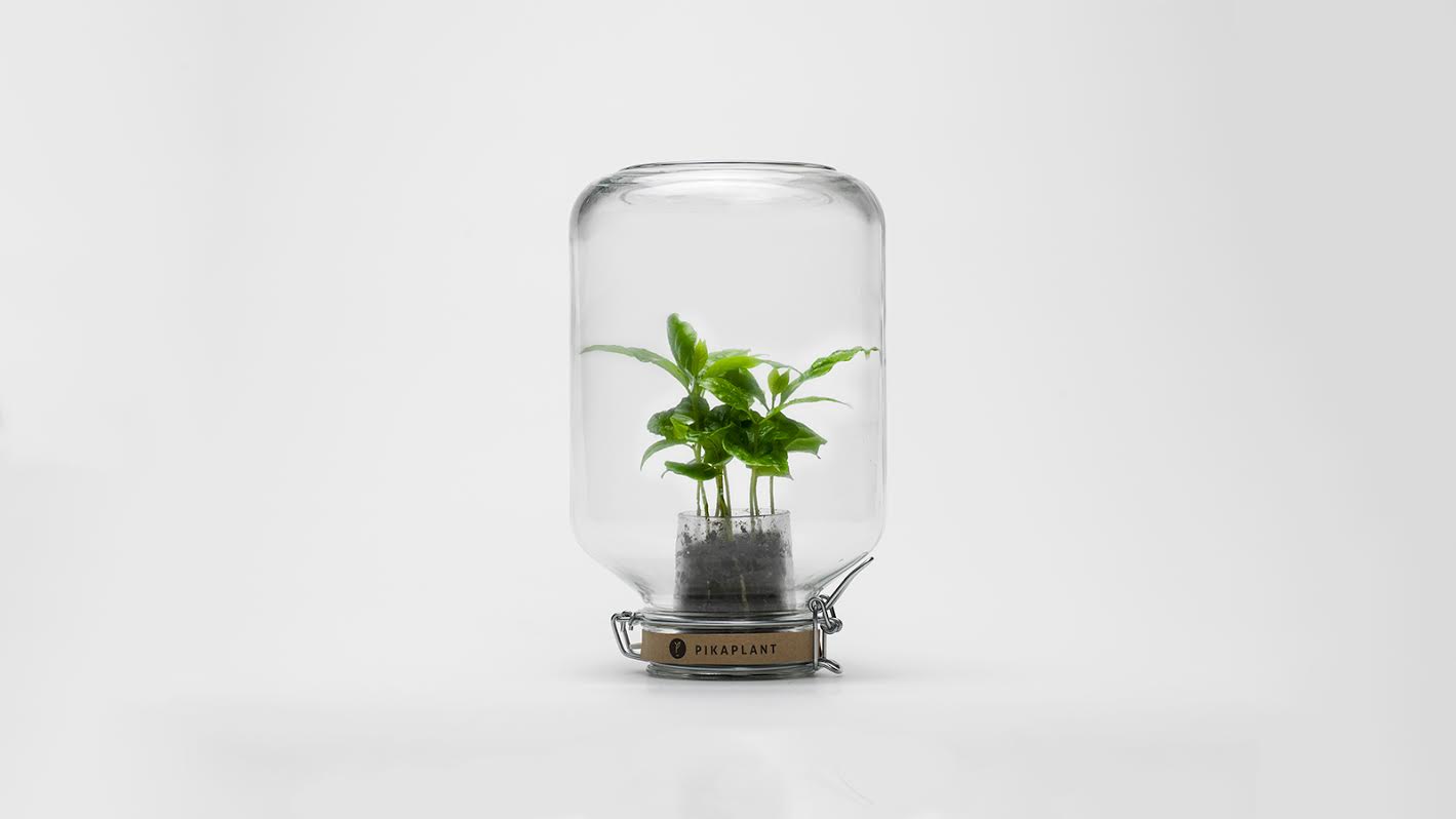 jar_1.jpeg