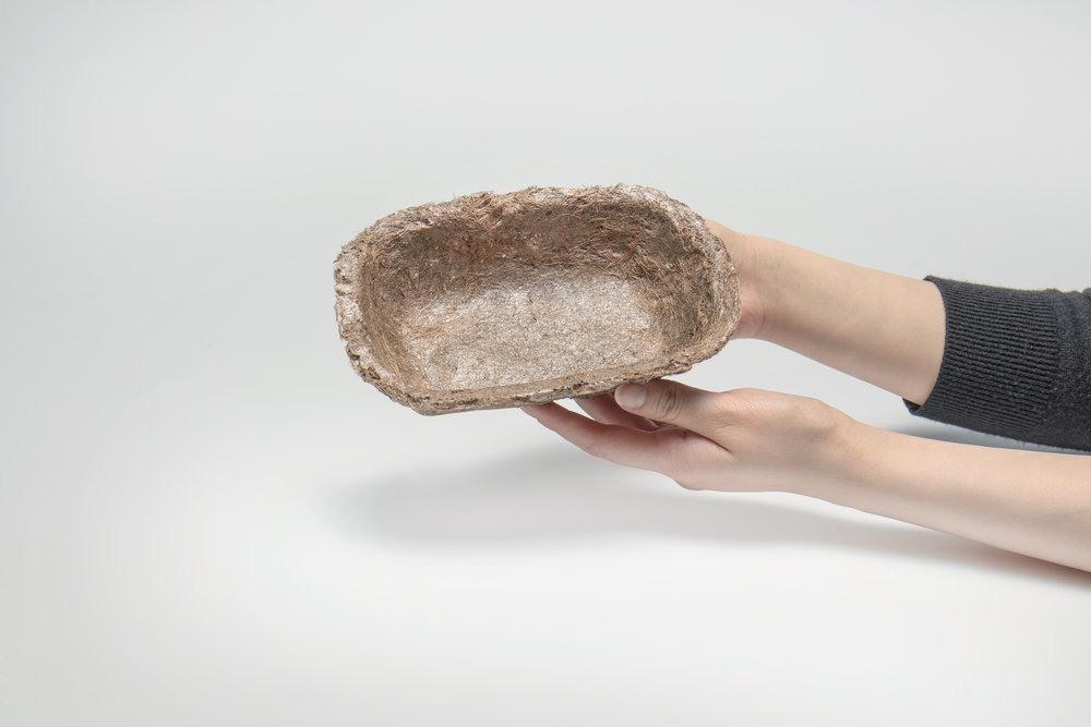 poc_hand_tray.jpg