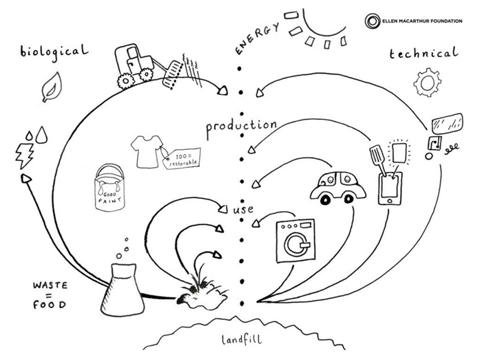 circular-economy-circular-design-guide.jpg