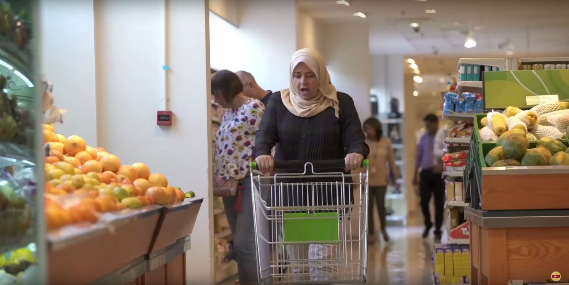 fit cart_2.JPG